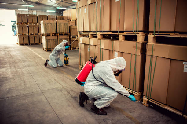 Best Ant Control Services  in Monte Alto, TX