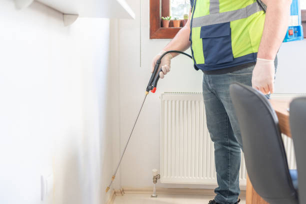 Best Flea Control Services  in Monte Alto, TX