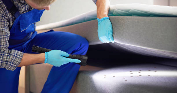 Best Local Pest Control Services  in Monte Alto, TX