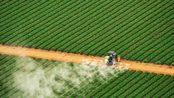 Best Commercial Pest Control Services  in Monte Alto, TX