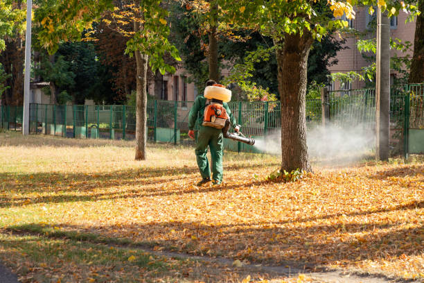 Best Pest Prevention Services  in Monte Alto, TX