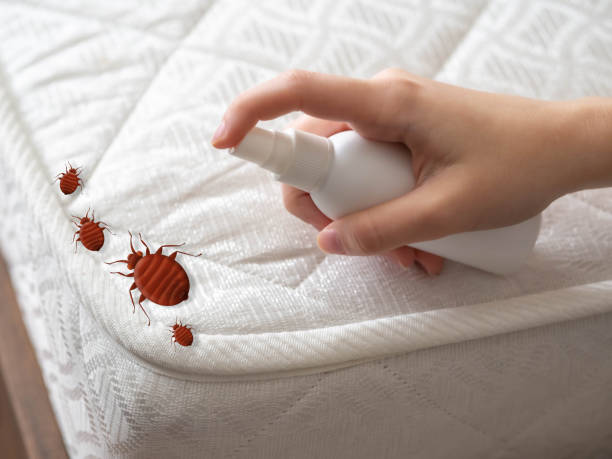 Best Pest Control Near Me  in Monte Alto, TX