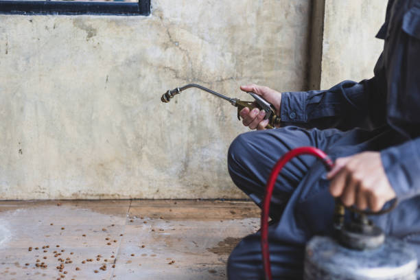 Trusted Monte Alto, TX Pest Control Experts